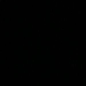 Meet your Posher, Donnelle